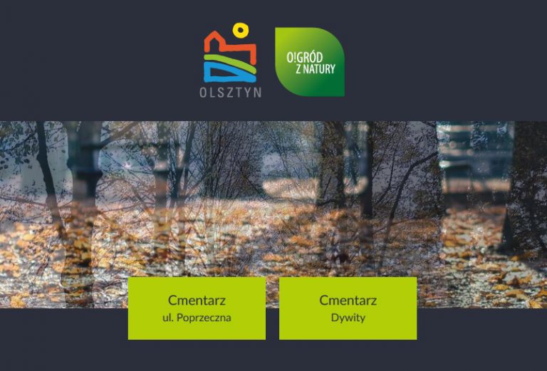 Olsztyńskie cmentarze mają swoja internetową aplikację