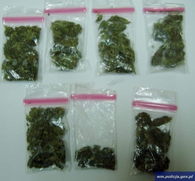 18-letni mieszkaniec Olsztyna handlował marihuaną i metamfetaminą