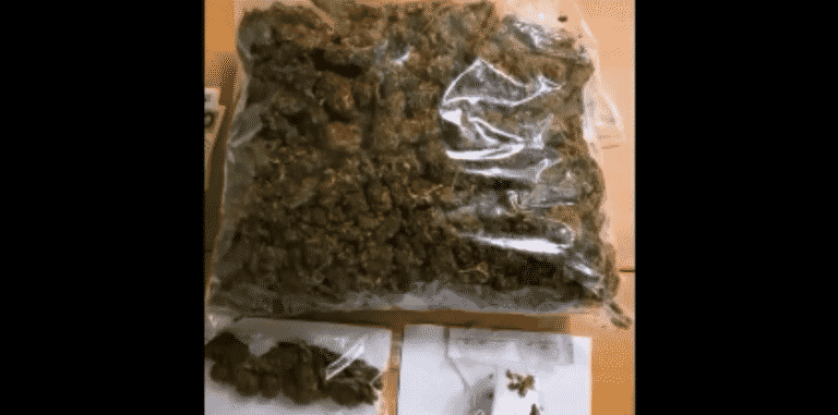 Sukces olsztyńskiej policji. Zatrzymali dealera narkotyk&oacute;w