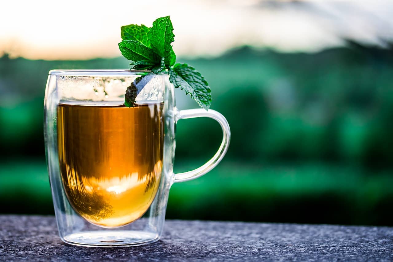 Biała herbata – dlaczego warto ją pić?