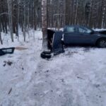 Auto po uderzeniu w drzewo rozpadło się na p&oacute;ł