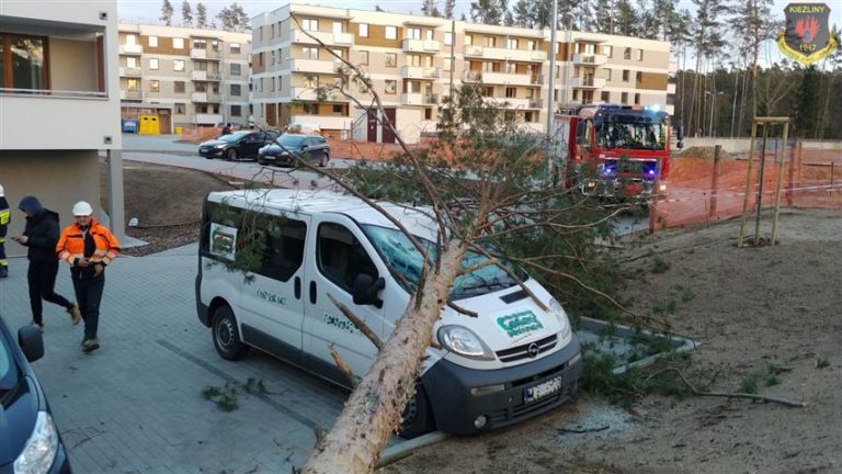 To się nazywa pech. Drzewo powalone przez wiatr uszkodziło samoch&oacute;d [FOTO]