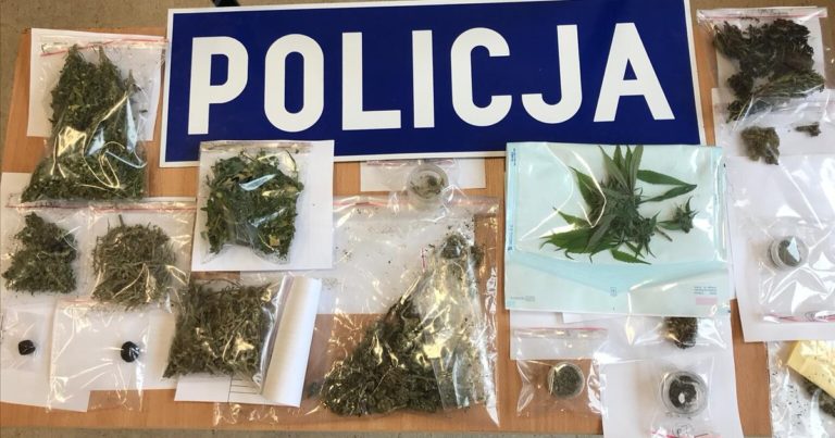 43-letni właściciel BMW zatrzymany za posiadanie narkotyk&oacute;w. W domu hodował marihuanę [FOTO]