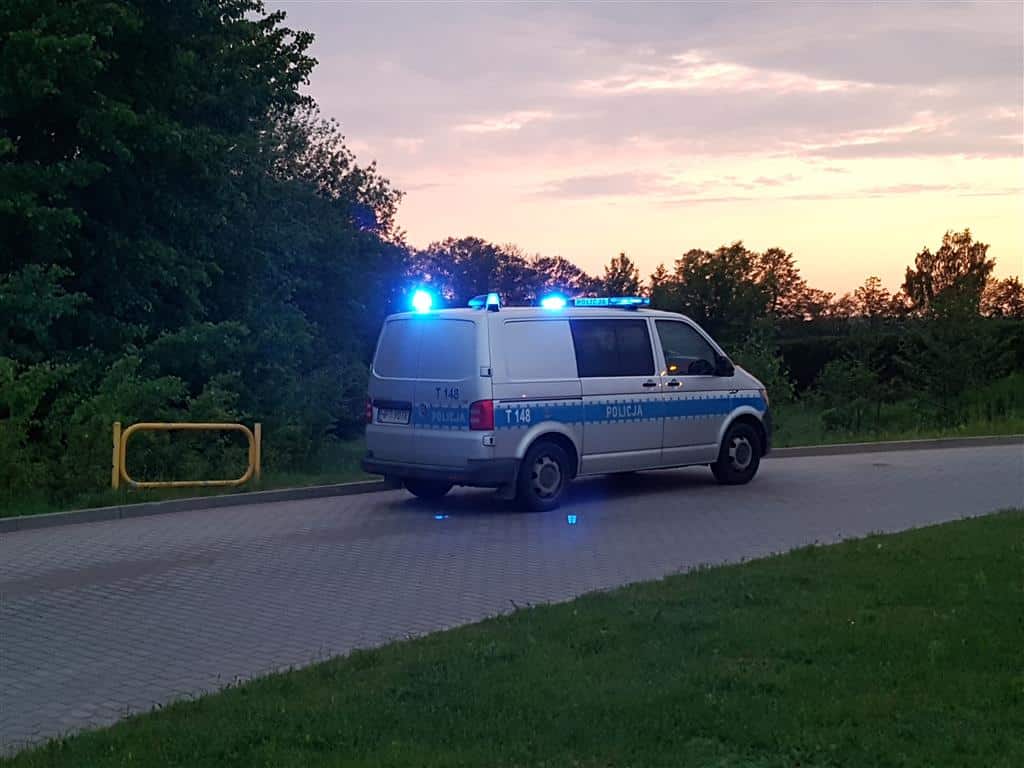 Atak ogromnego dzika w Olsztynie. Mężczyzna ratował się ucieczką do jeziora
