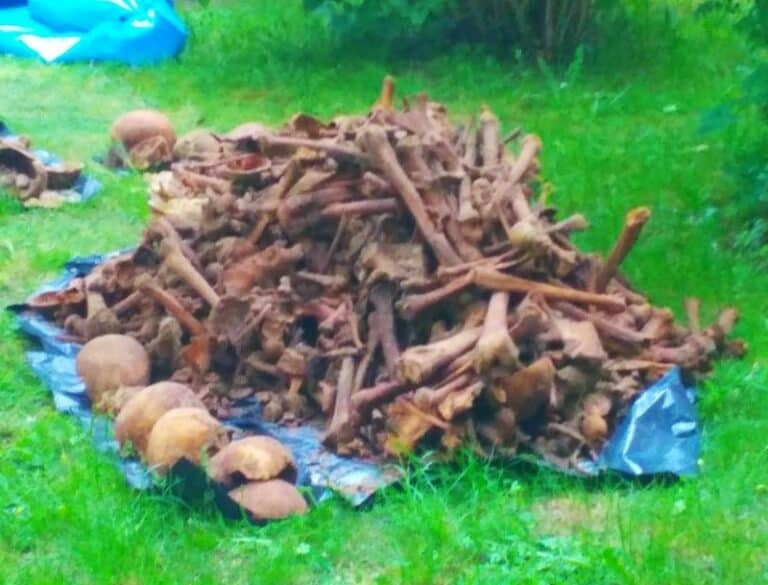 Odkryto ludzkie szczątki na Zatorzu [FOTO]