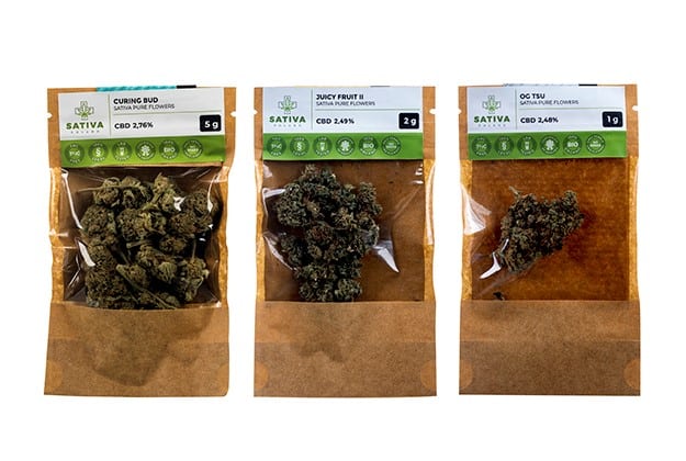 Legalna marihuana? Wywiad z właścicielem olsztyńskiego sklepu z konopiami CBD