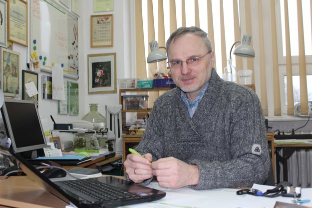 Entomolog: meszki nie przenoszą chor&oacute;b, jak komary czy kleszcze