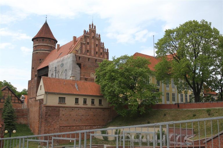Klon w olsztyńskim amfiteatrze zostanie wycięty