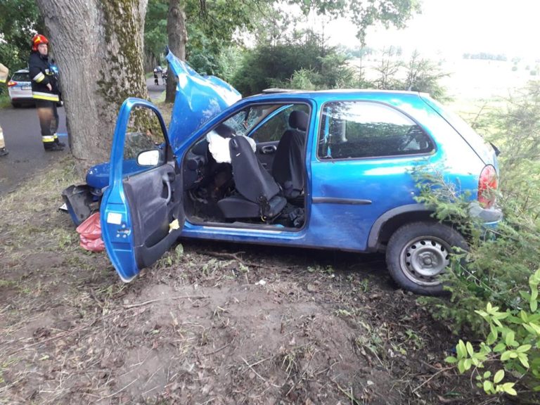 Pijana 37-latka bez prawa jazdy wioząc dzieci i ciężarną kobietę uderzyła w drzewo [FOTO]