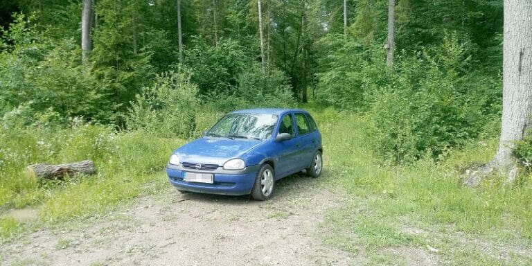 Szczęśliwy finał poszukiwań grzybiarek