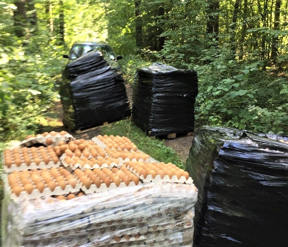 W lesie pod Olsztynem ktoś porzucił kilka tysięcy&hellip; jajek