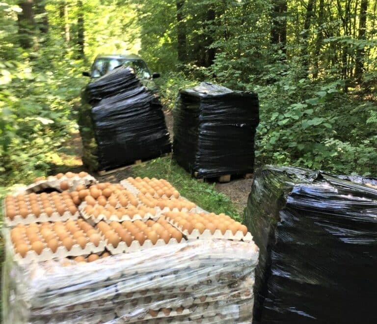 W lesie pod Olsztynem ktoś porzucił kilka tysięcy… jajek