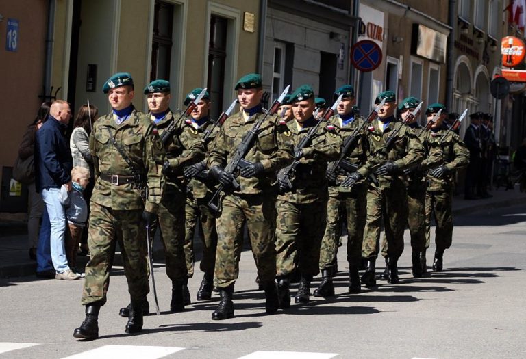 Wojew&oacute;dzkie Obchody Święto Wojska Polskiego