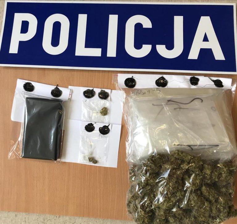 29-latek z Olsztyna z zarzutami za niewielkie ilości marihuany. To był początek dalszych zatrzymań