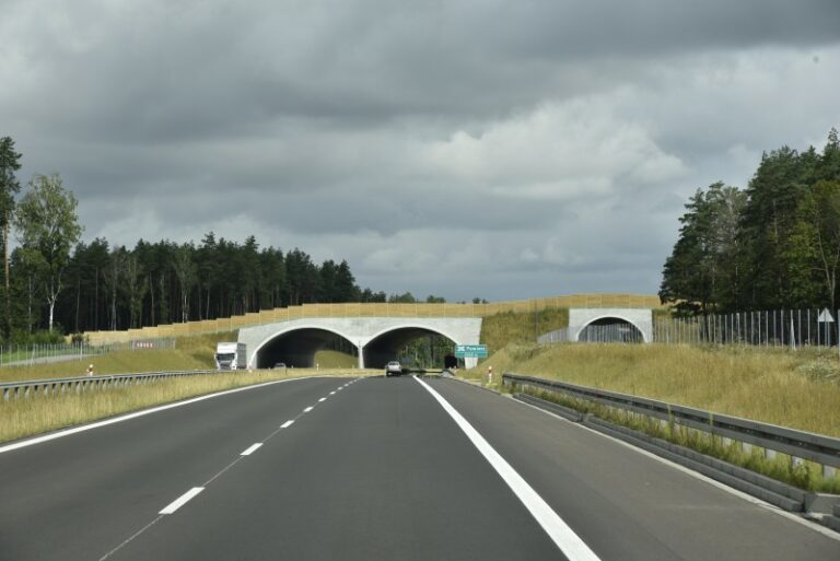 Są zezwolenia na realizację dw&oacute;ch odcink&oacute;w drogi S7 Olsztynek &ndash; Płońsk