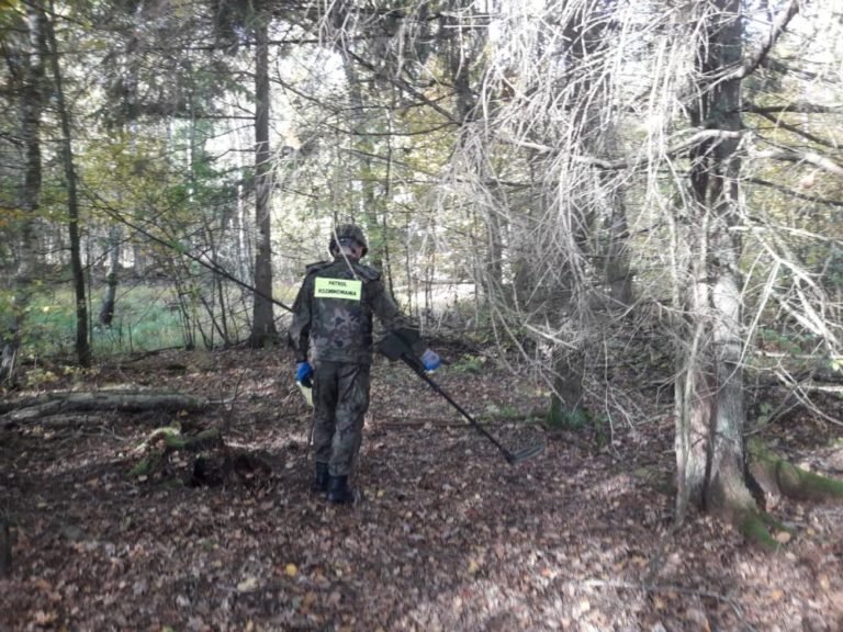 Zamiast grzyb&oacute;w odnalazł niewybuchy z czas&oacute;w II wojny