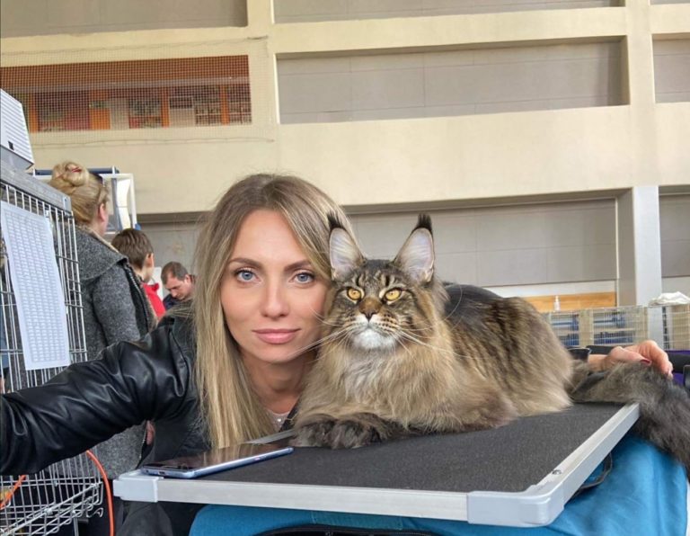 Wyjątkowy kot z Olsztyna ze światowym wyr&oacute;żnieniem!