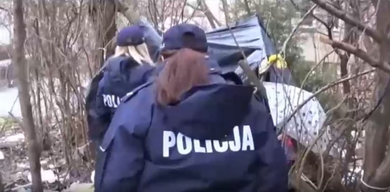 Znaleziono zwęglone zwłoki na terenie ogr&oacute;dk&oacute;w działkowych w&nbsp;Olsztynie