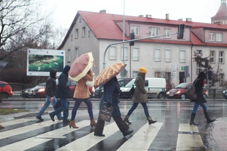 IMGW ostrzega przed silnym wiatrem