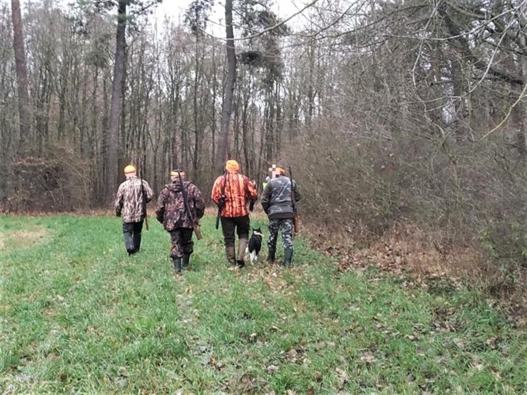 Polowali pod Olsztynem na zwierzęta, a postrzelili człowieka