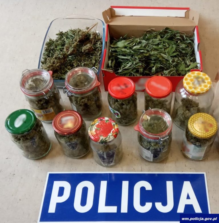 Mieszkaniec Olsztyna miał w domu kilogram marihuany. Grozi mu 10 lat więzienia