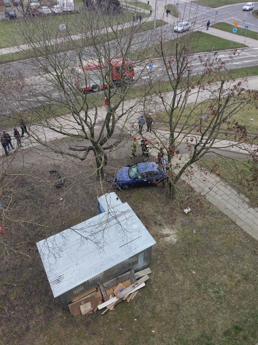 Szalona ucieczka złodzieja skończyła się na drzewie pod blokiem przy al. Piłsudskiego