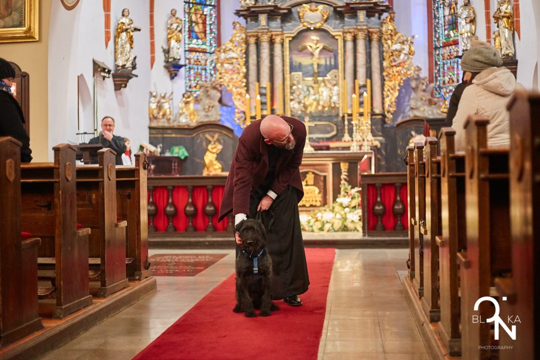 Spotkania duchowe z… psami? Bezdomne zwierzęta odwiedzają olsztyńskie kościoły
