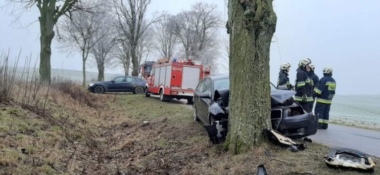 Pięć os&oacute;b rannych w wypadku drogowym. Audi uderzyło w drzewo