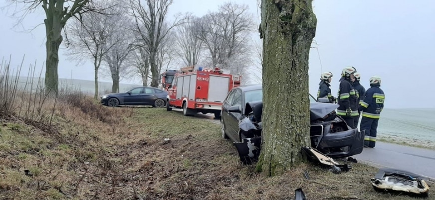 Pięć osób rannych w wypadku drogowym. Audi uderzyło w drzewo