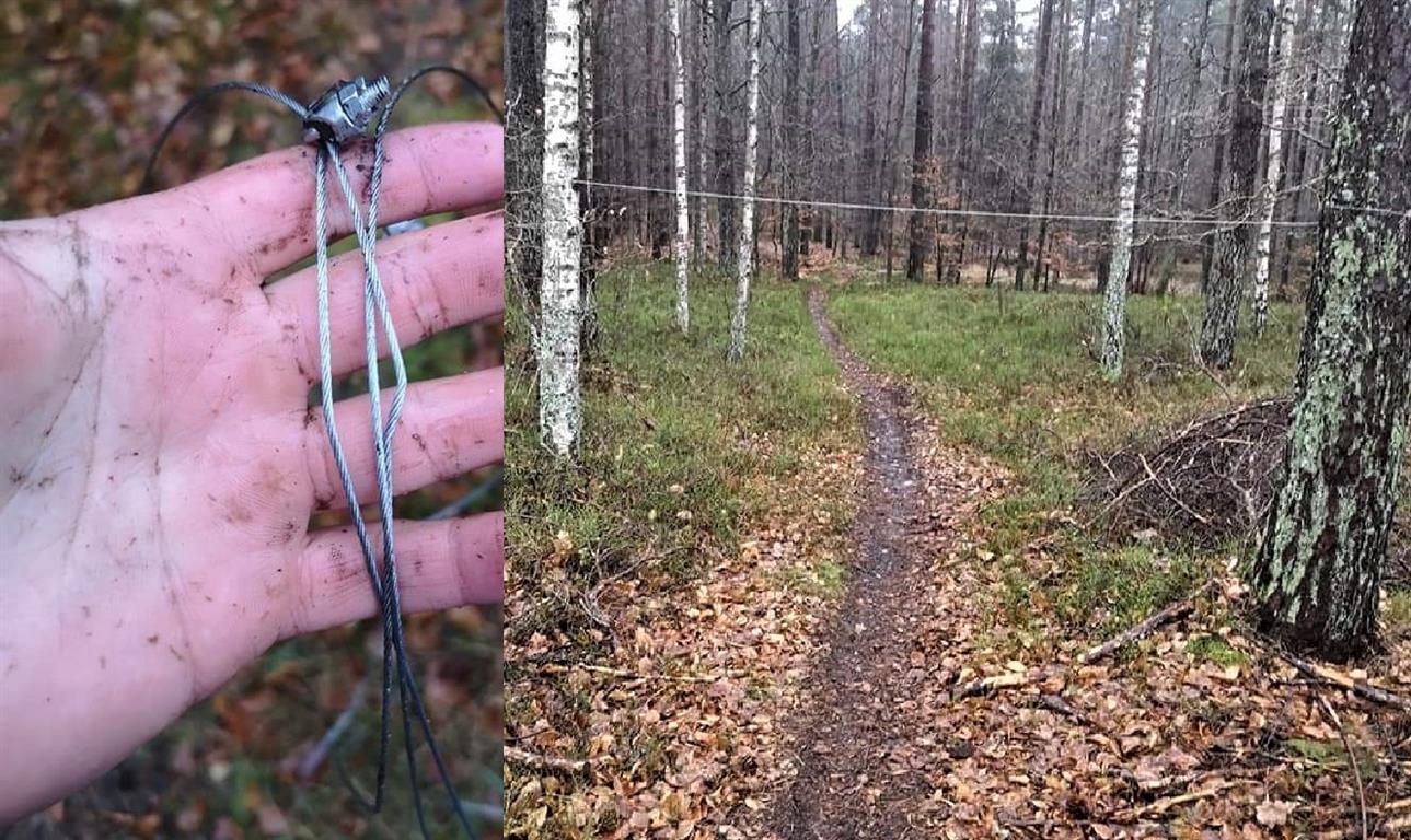 Niebezpieczna pułapka w lesie. Ktoś rozwiesił stalową linkę. Mogła zabić rowerzystę