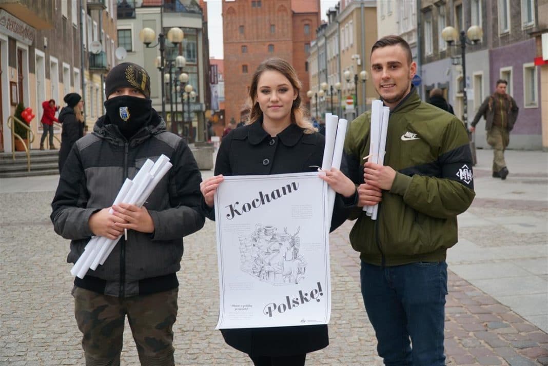 Olsztyńska Młodzież Wszechpolska propagowała na starówce ekologiczny styl życia