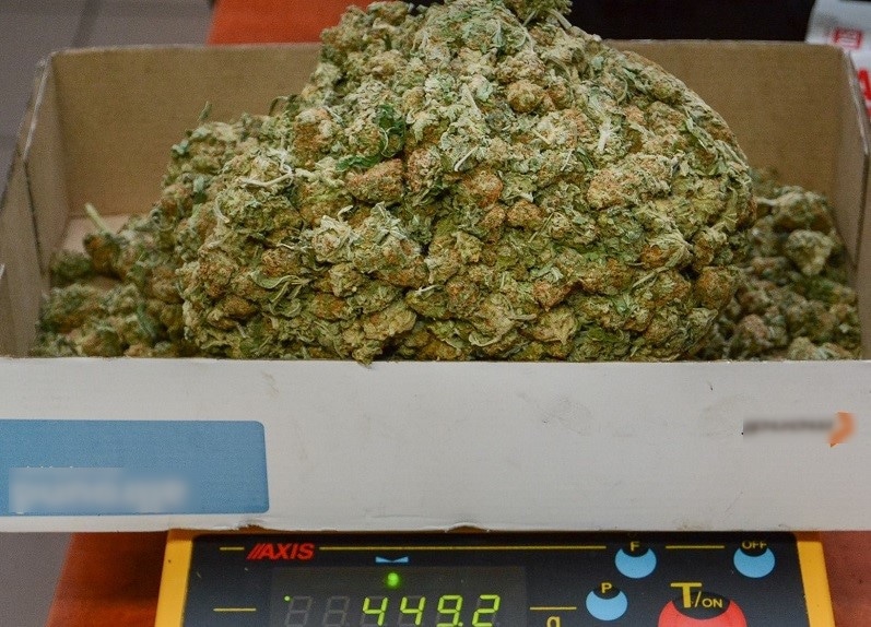 Zatrzymano podejrzanego o przemyt 60 kg marihuany