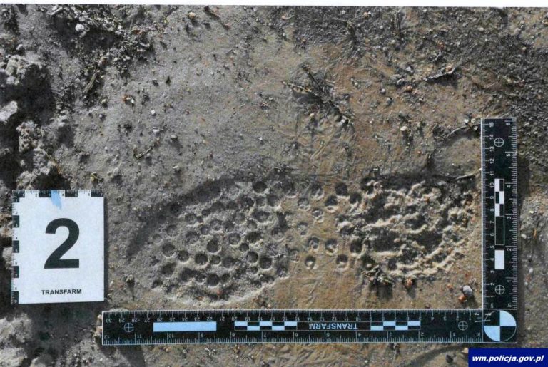 Odcisk buta doprowadził kryminalnych do zatrzymania czterech włamywaczy