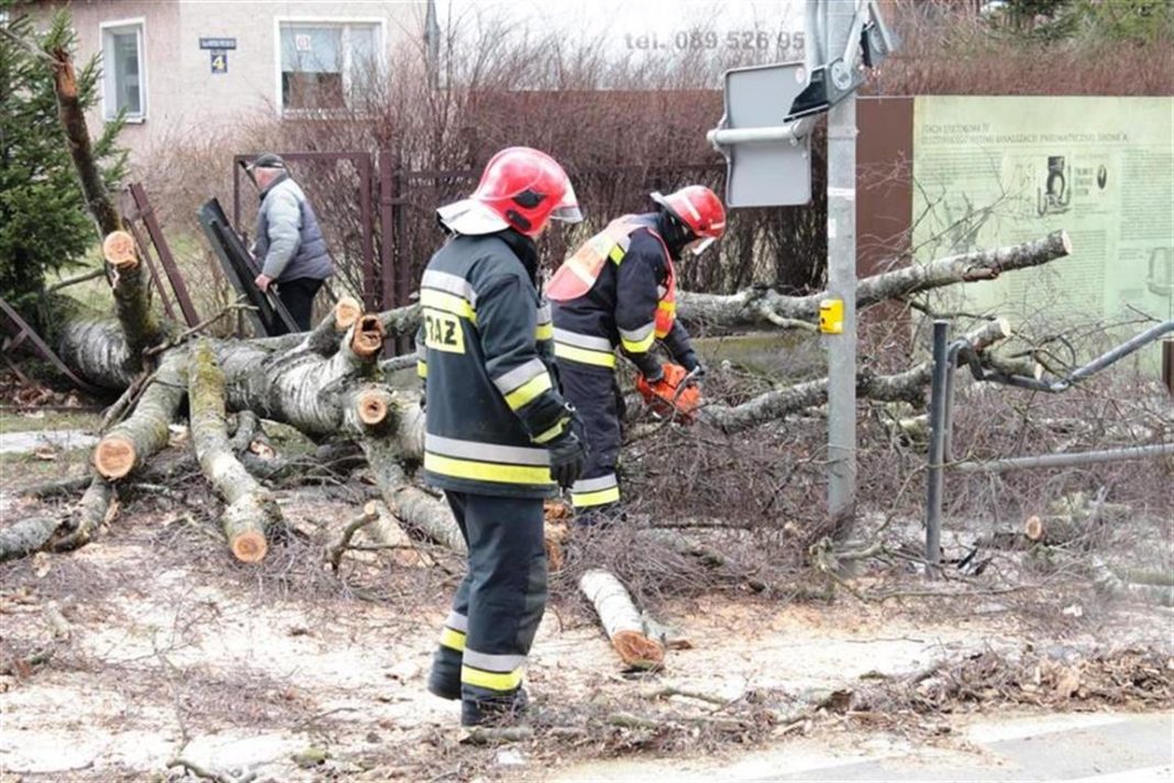 Skutki „Sabiny” w regionie. 50 interwencji strażaków w związku z silnym wiatrem