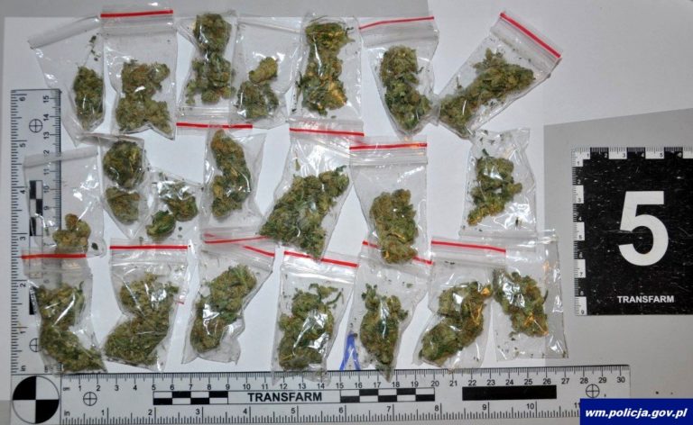 Drogówka zatrzymała dilera? Miał porcjowane narkotyki w woreczkach strunowych