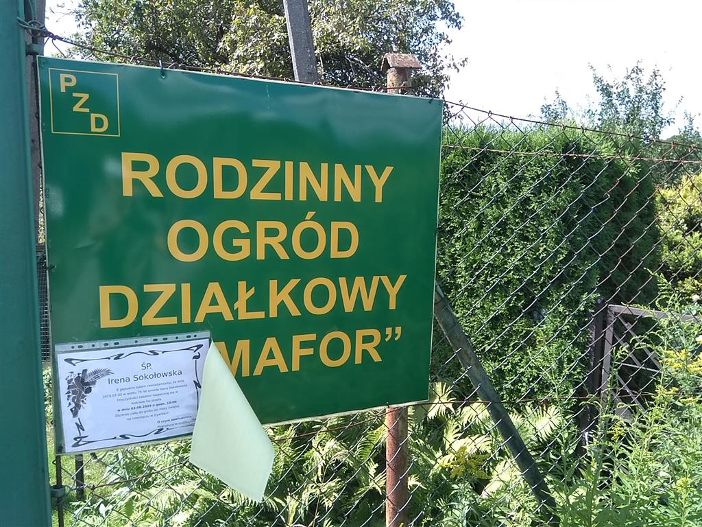 Walka olsztyńskich działkowców z zarządami ROD. Ogrody bez żywopłotów?