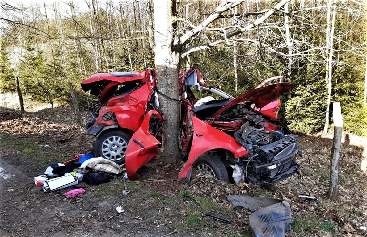 Samochód uderzył w drzewo. Kierowca zginął na miejscu