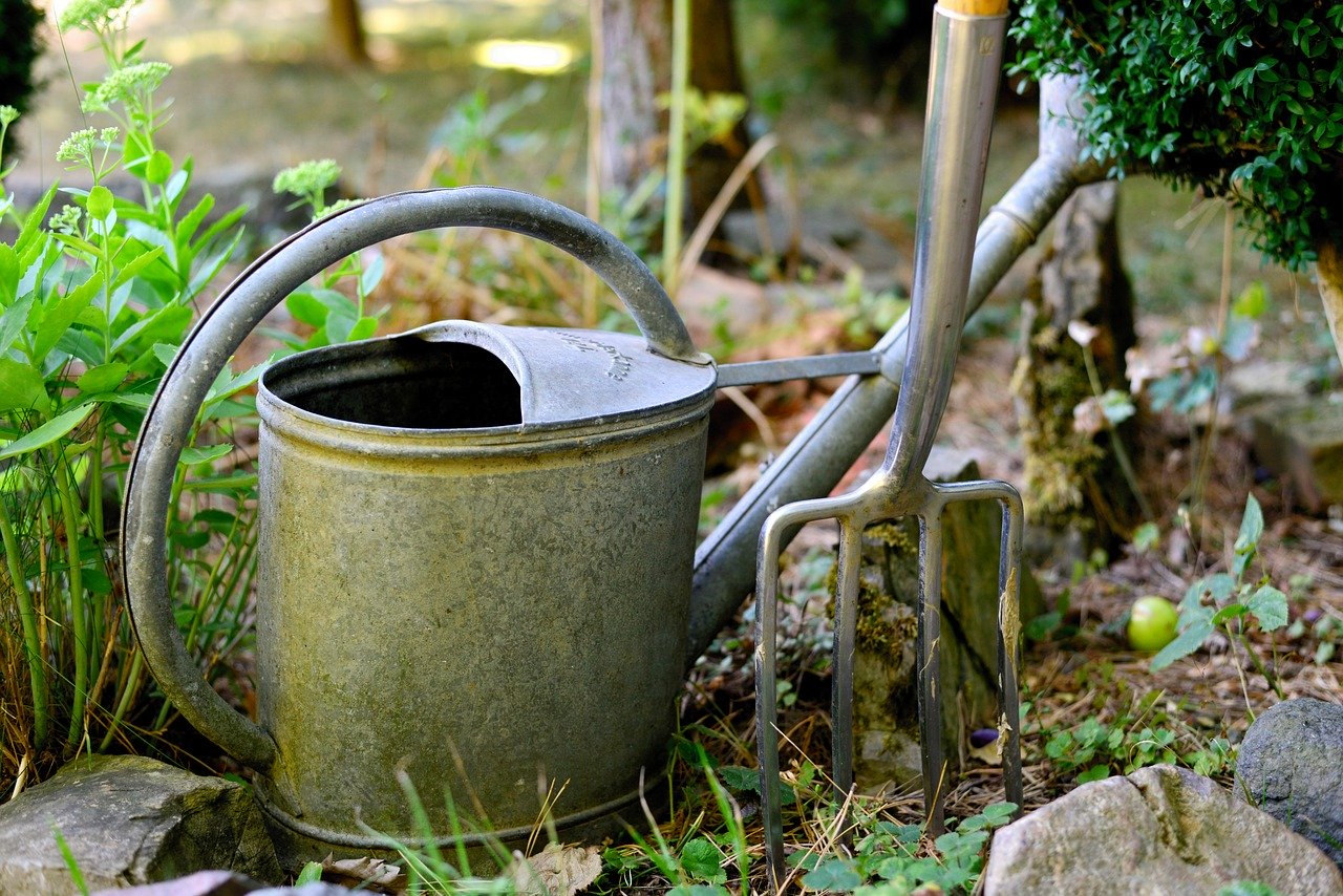 Jak oszczędzać wodę w ogrodzie – porady Leroy Merlin