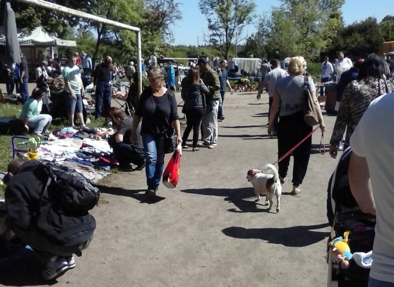 Pchli targ zamknięty z powodu braku zabezpieczeń przed koronawirusem