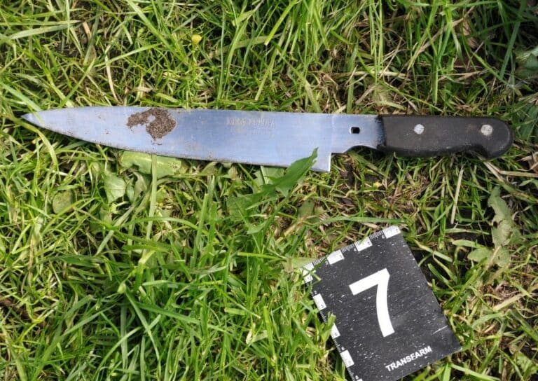Policja zatrzymała sprawc&oacute;w brutalnego pobicia mężczyzny na terenie ogr&oacute;dk&oacute;w działkowych