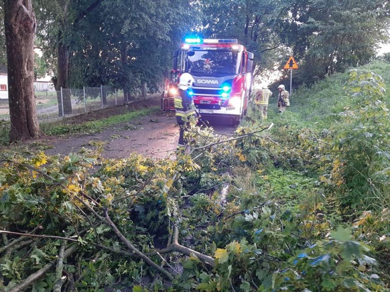 Ponad 50 interwencji strażak&oacute;w po burzach
