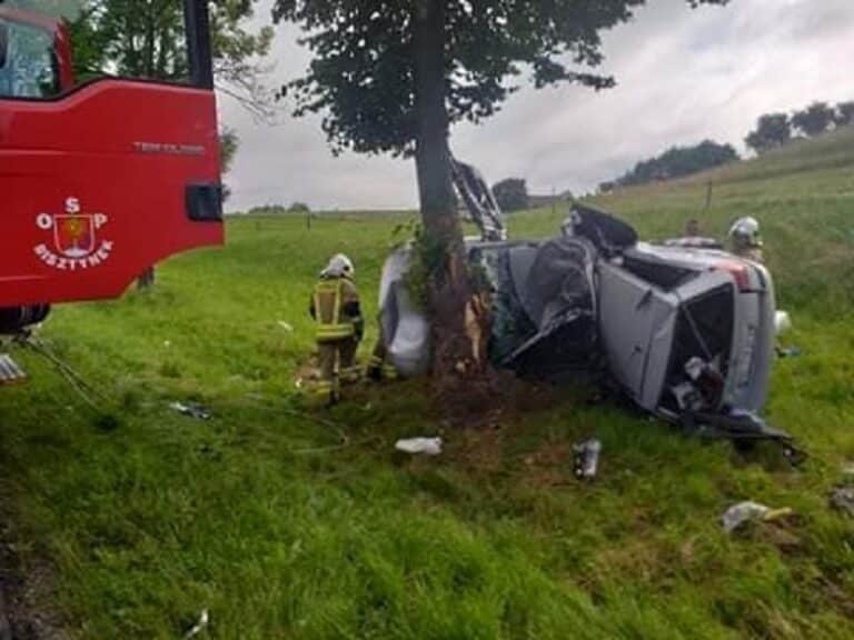 Auto dachowało na drzewie