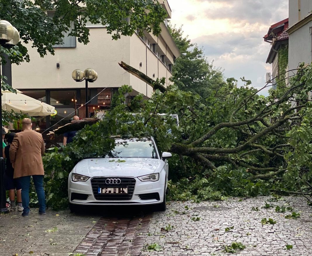 Burza przeszła przez Olsztyn siejąc zniszczenie. Powaliła masowo drzewa