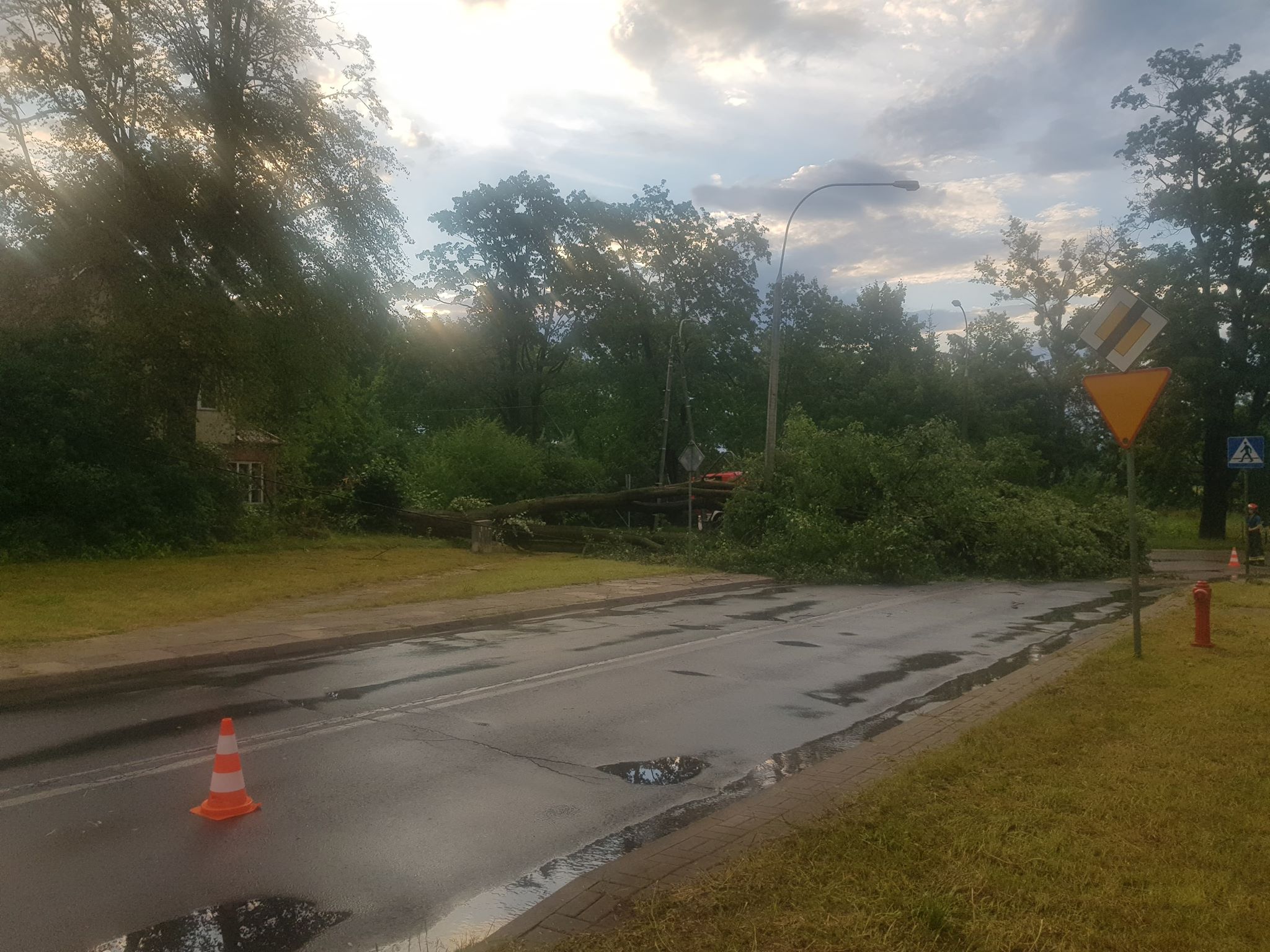 Burza przeszła przez Olsztyn siejąc zniszczenie. Powaliła masowo drzewa