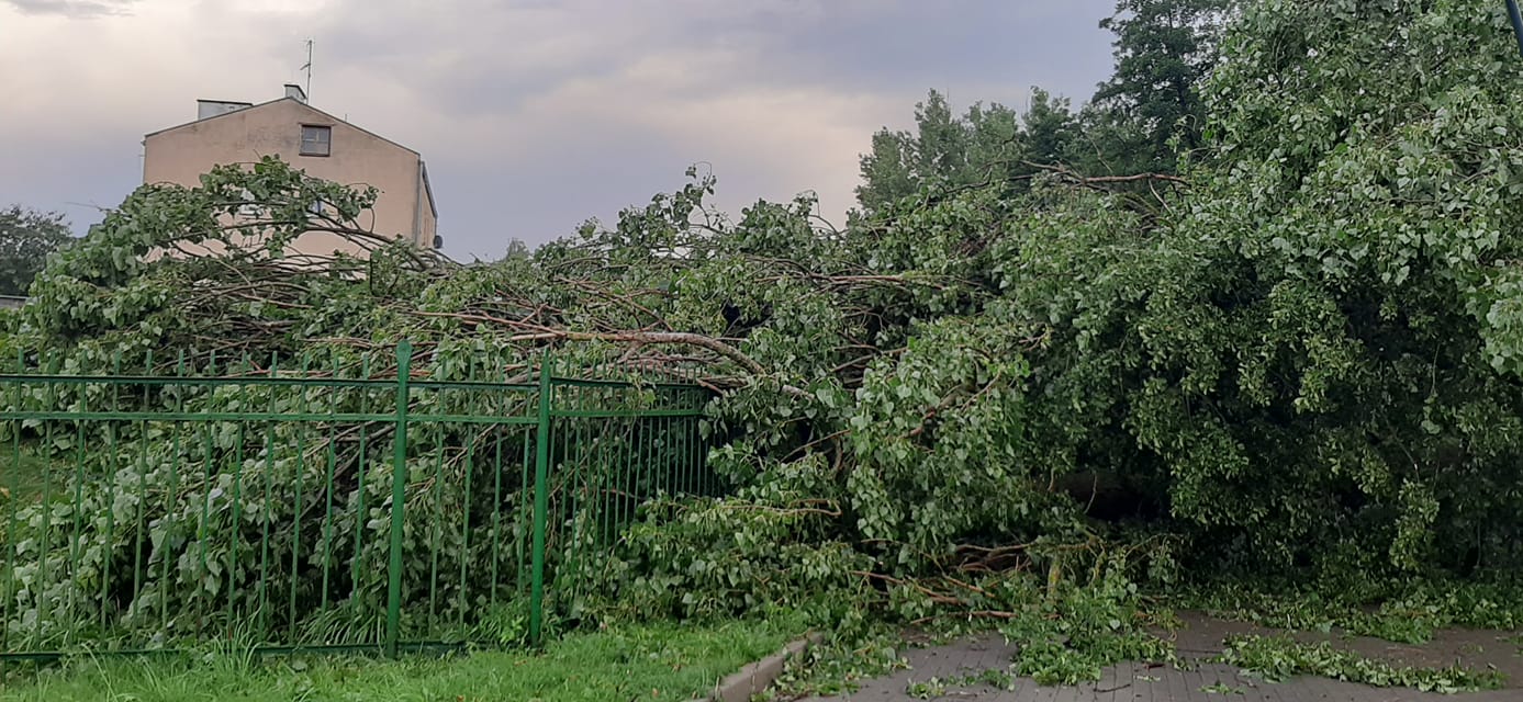 Zdjęcia czytelników pokazują skalę zniszczeń po gwałtownej burzy jaka przeszła nad Olsztynem