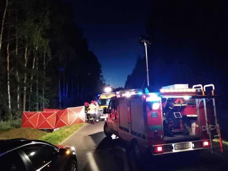 Mężczyzna zginął na miejscu potrącony przez kolejne auto gdy sprawdzał pojazd po kolizji ze zwierzęciem