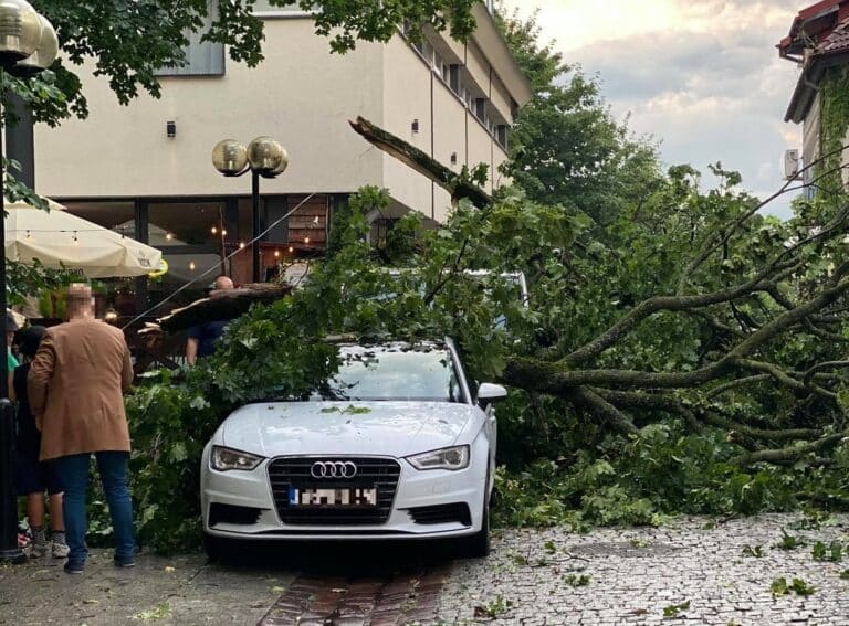Zdjęcia czytelnik&oacute;w pokazują skalę zniszczeń po gwałtownej burzy jaka przeszła nad Olsztynem