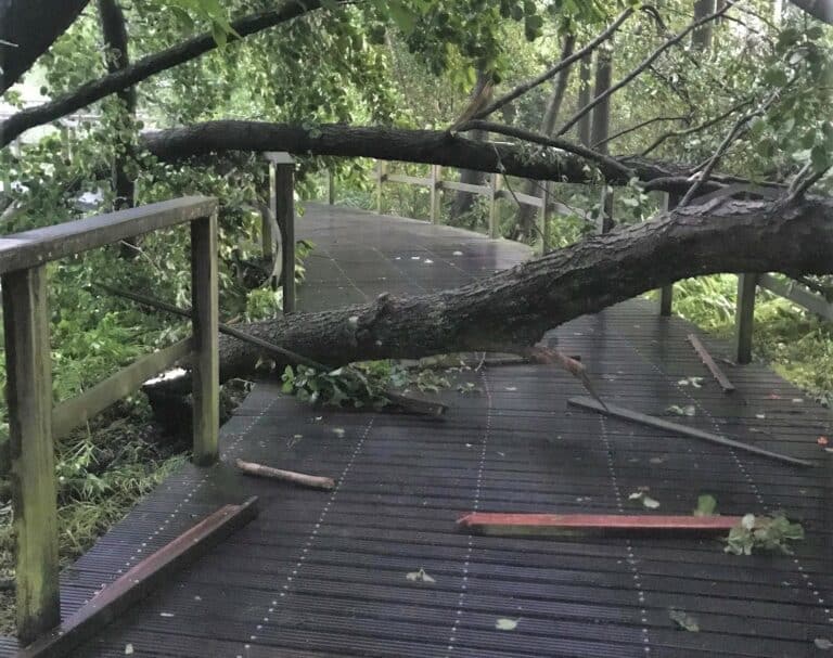 Straty po nawałnicy w Olsztynie. Ośrodek Sportu i Rekreacji liczy na odszkodowanie