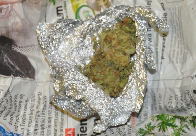 Automatycznie zapisany szkic