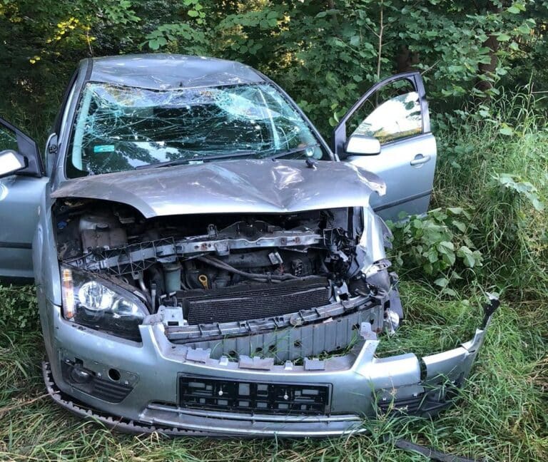 Dachowanie w Olsztynie